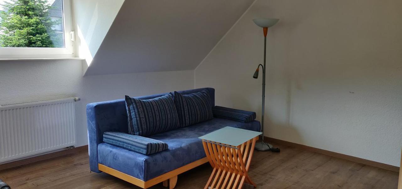 Ferienhaus Schulte - Villa Jupp Und Apartment Liesl 奥尔斯贝格 外观 照片